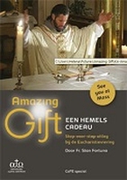 DVD - Amazing Gift - Een hemels Cadeau - met handleiding