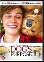 DVD - A Dogs Purpose